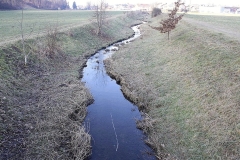 Plainbach-18.1.2025-02