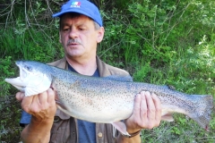 Petri-Heil an der Oberen Salzach